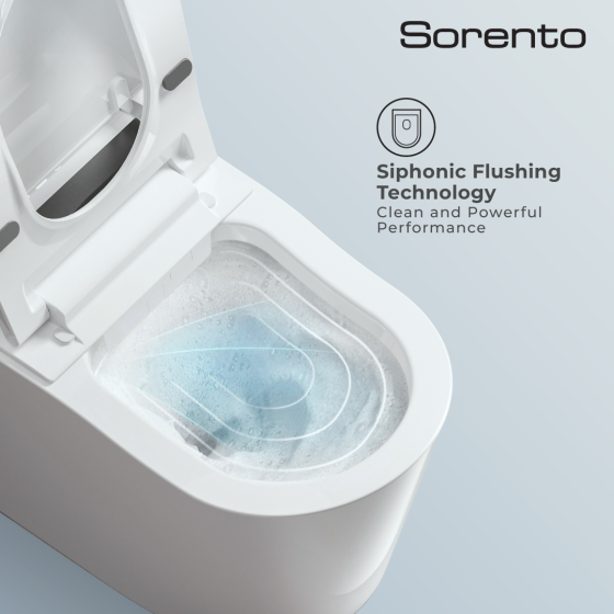 Sorento_Dec2-20 (1)